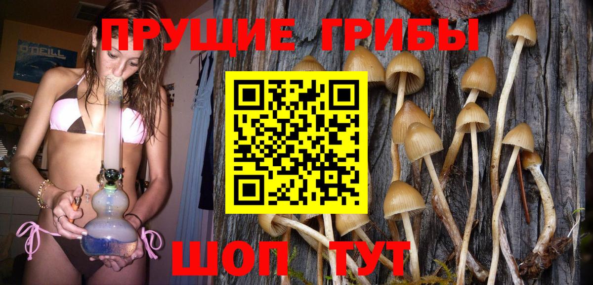 Псилоцибиновые грибы прущие грибы Каспийск