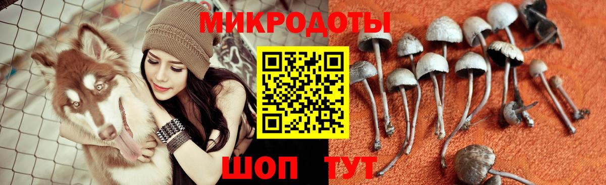 Каспийск  Псилоцибиновые грибы мухоморы  как найти   Вход с VPN  Галлюциногенные грибы Cubensis 
